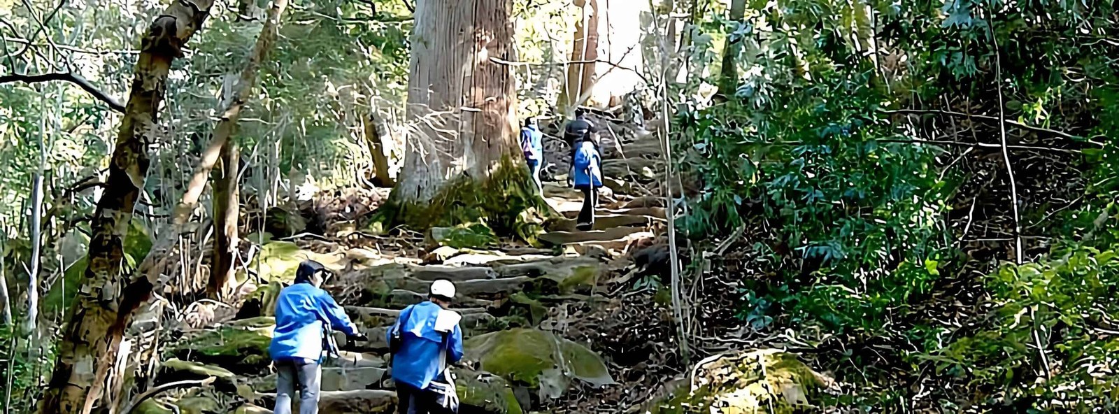 市房観光ホテル — 球磨郡水上村湯山 · 市房山麓の湯山温泉郷に立つ7室の温泉旅館