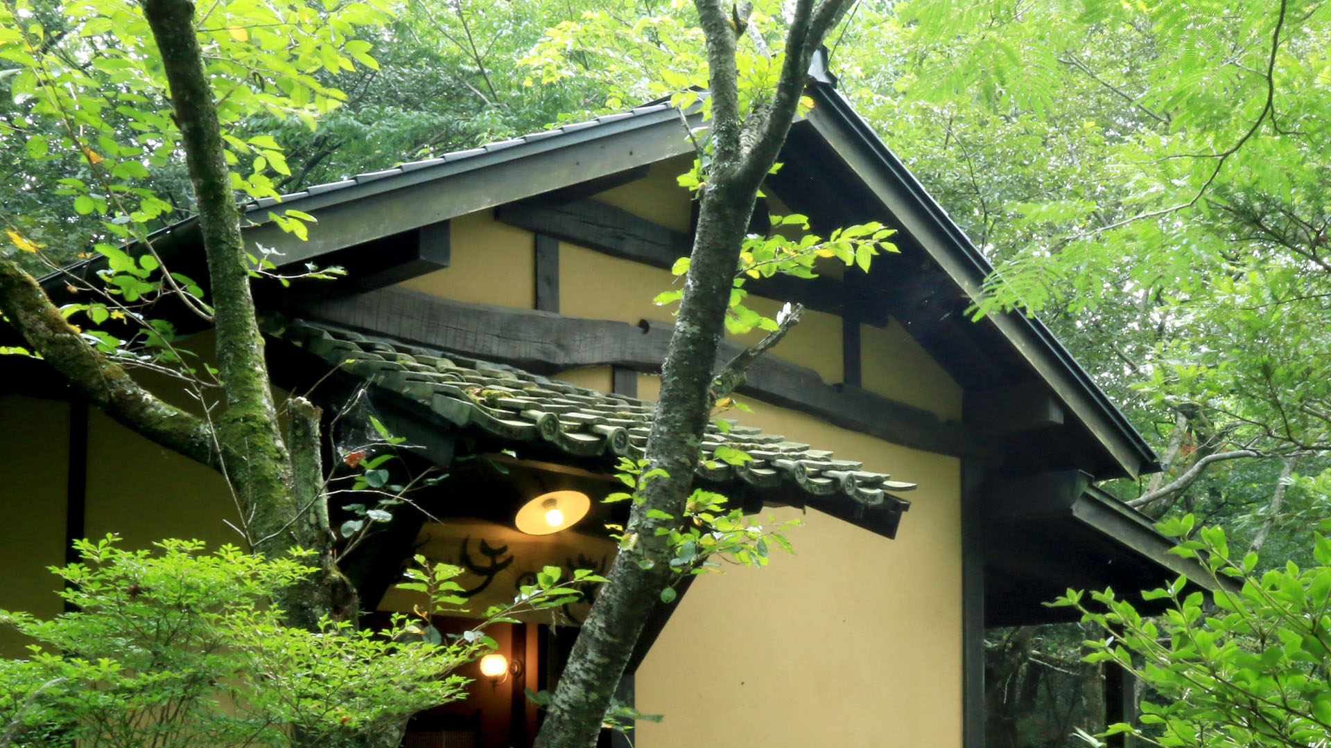 はなれの宿 千の森 — 熊本・阿蘇 · 8000 坪の敷地に離れ 2 棟、京都祇園で修行の料理長による創作懐石