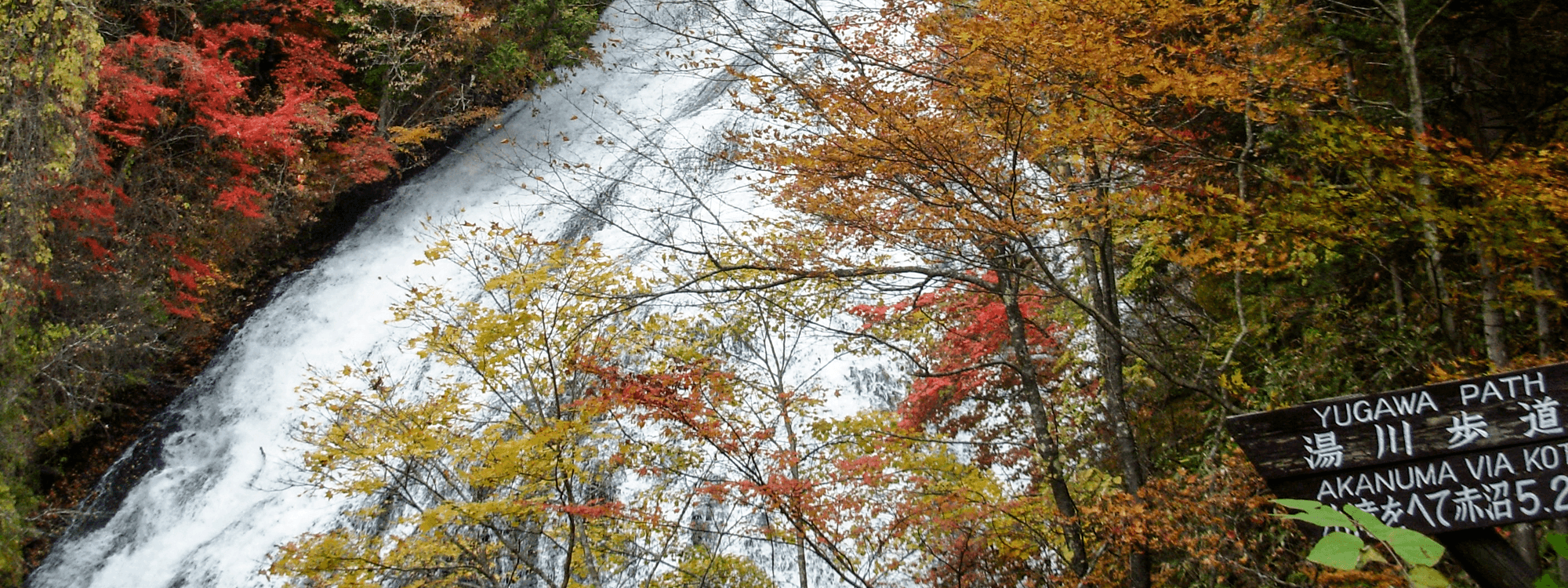 紫雲荘 — 栃木県日光市湯元 · 江戸期創業の硫酸塩泉の老舗温泉宿