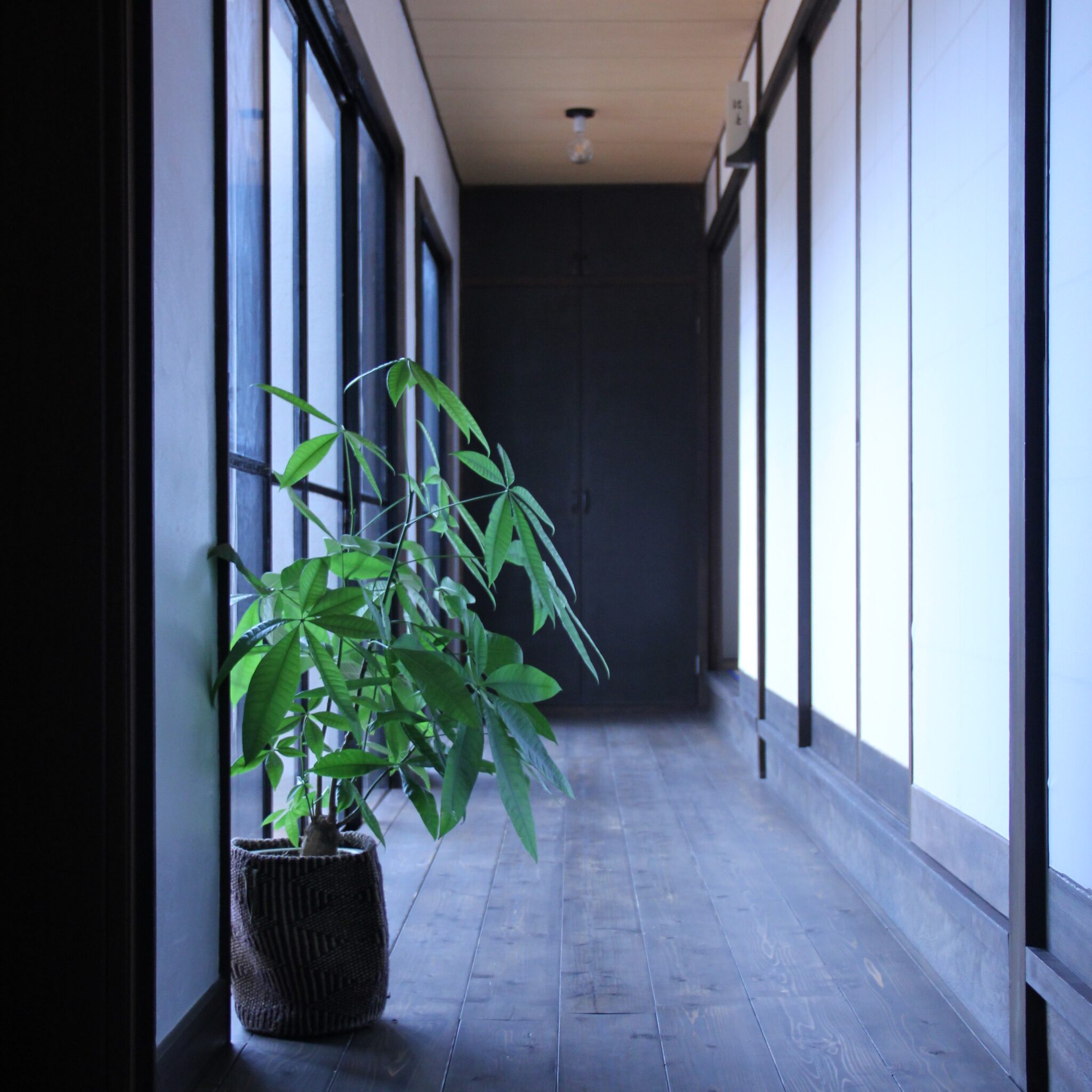梅木屋 — 洲本市五色 · 明治期の料理旅館を改装した5室の宿