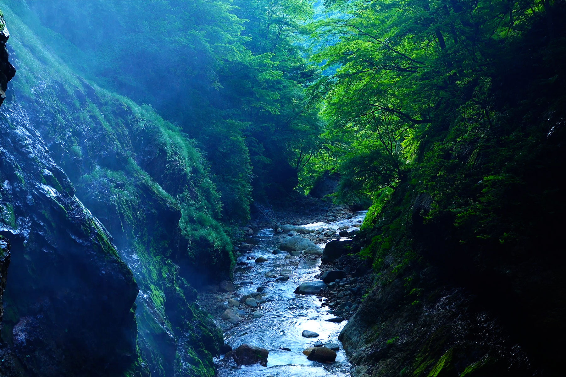緑霞山宿 藤井荘 — 長野・高山村山田温泉 · 宿の眼下に迫る松川渓谷の渓流と新緑
