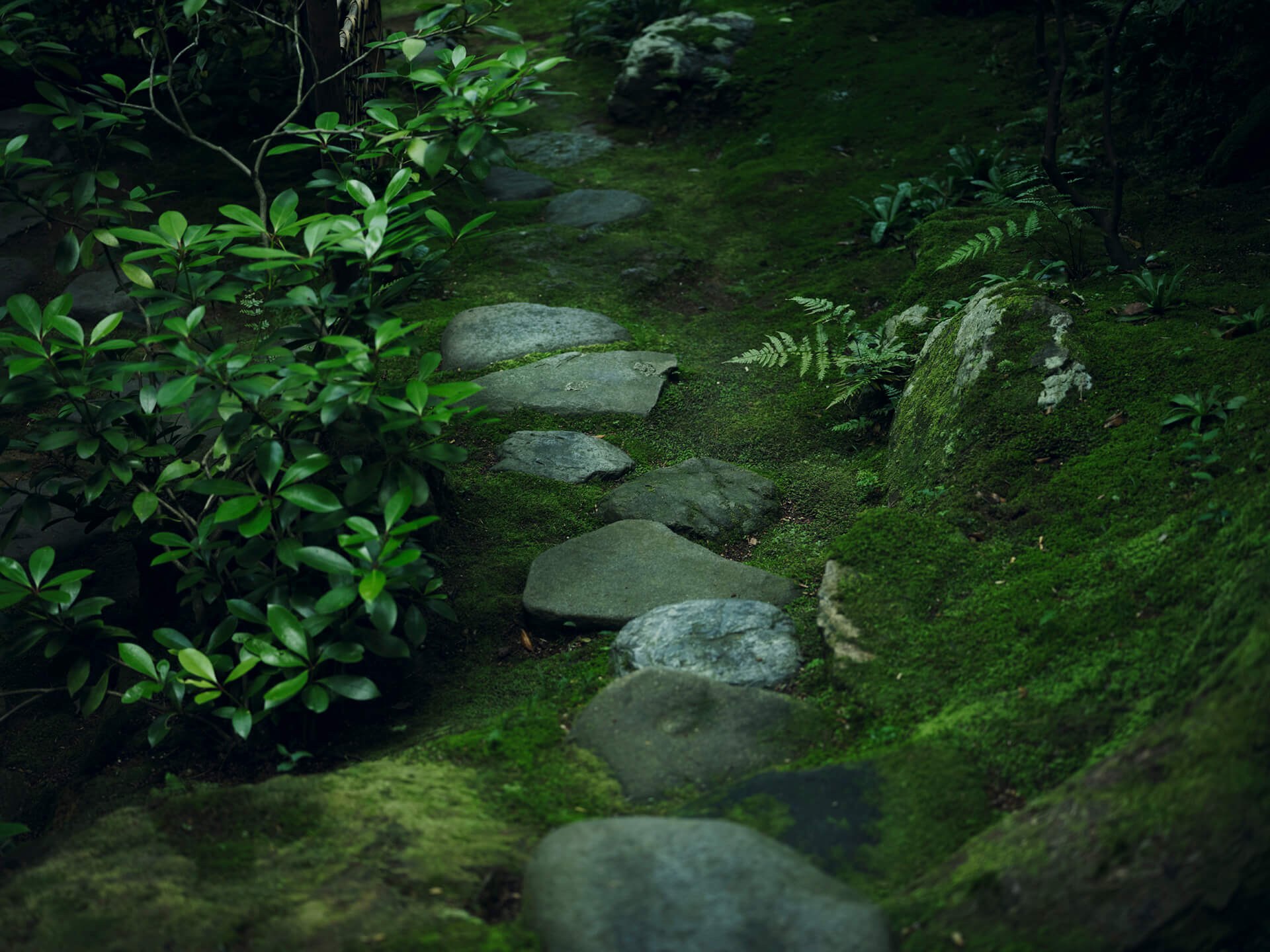 べにや無何有 — 石川・山代温泉 · 竹山聖設計、回廊と庭が連続するモダン旅館