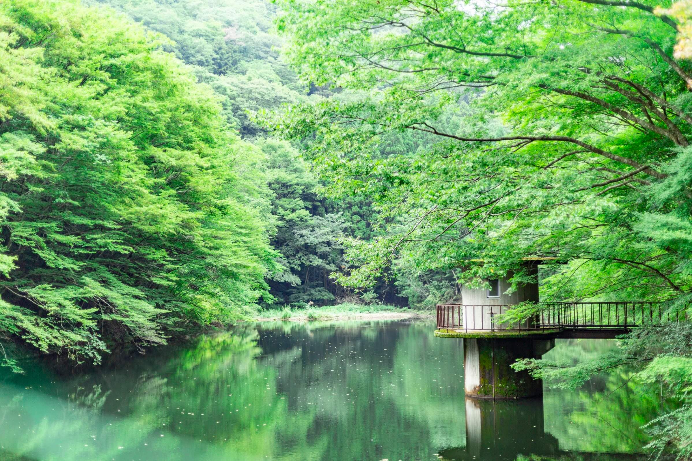 古民家の宿 集落丸山 — 兵庫・丹波篠山 · 江戸末期の太い梁と土壁を残した一棟貸しの古民家