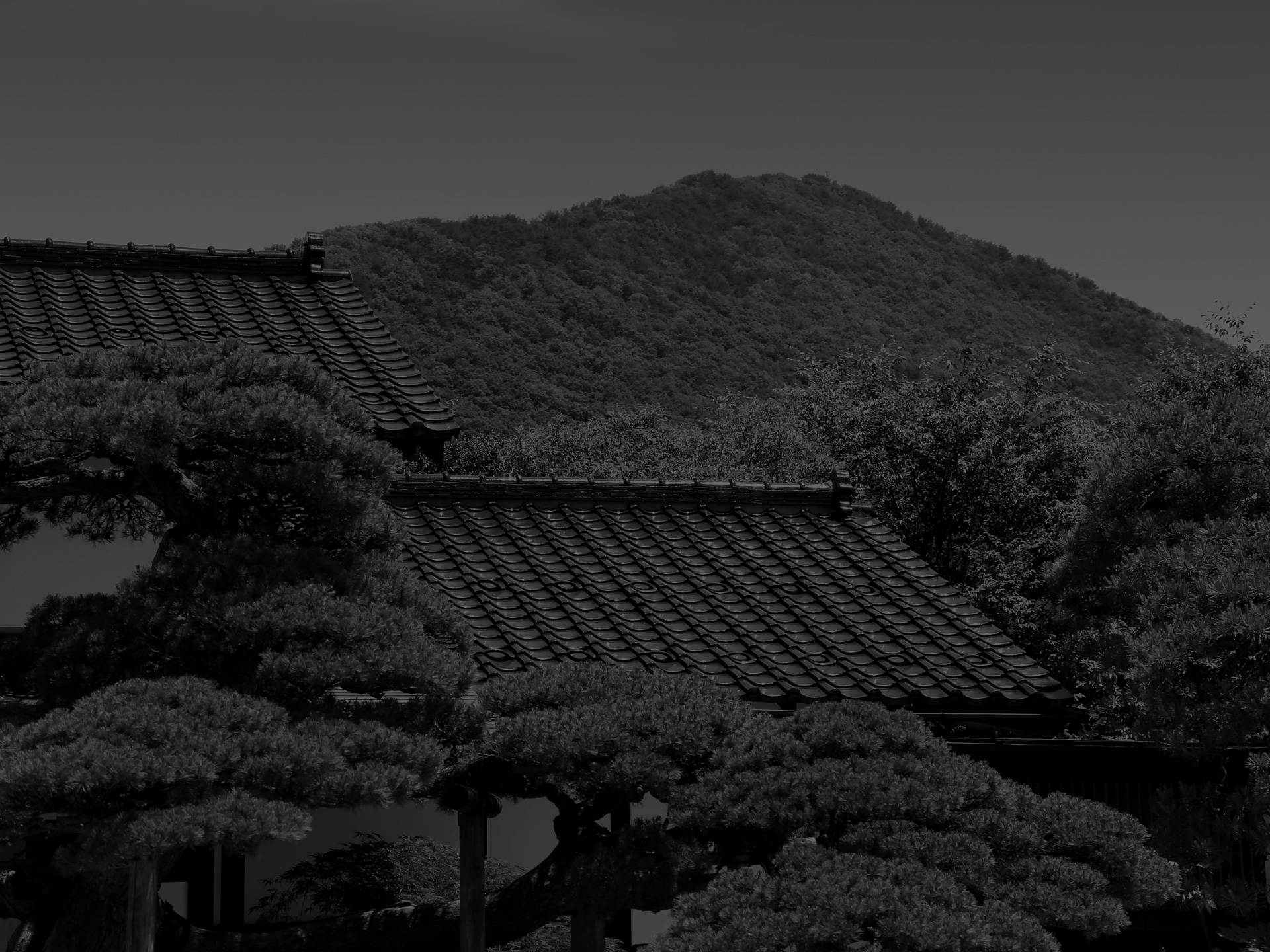 天童荘 — 山形・天童温泉 · 木造総平屋建ての数寄屋造り旅館、庭に面したラウンジ