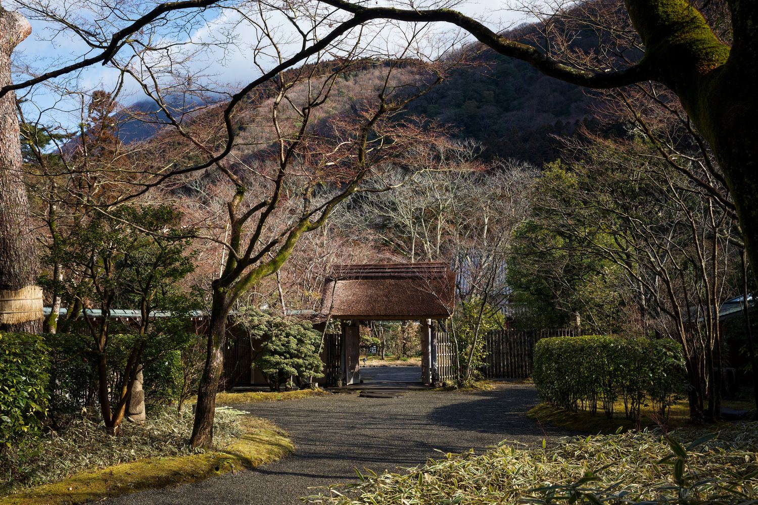 亀の井別荘 — 大分・由布院金鱗湖畔 · 三万平米の森に散る離れ建ての温泉宿