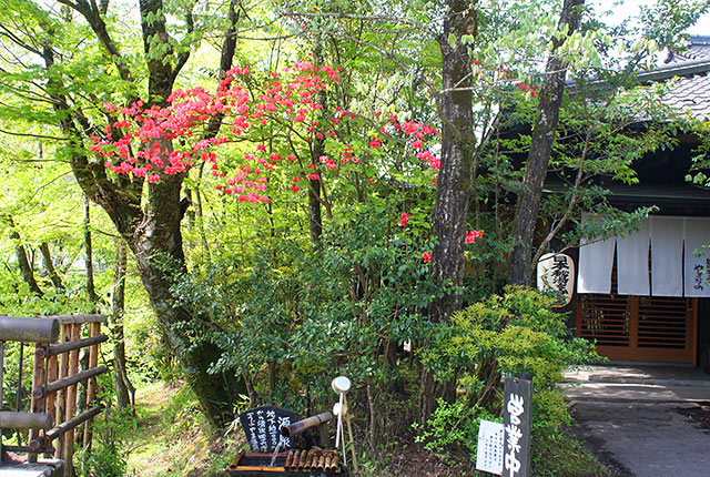奥阿蘇の宿 やまなみ — 産山村・産山温泉 · 築100年の古民家本館を擁する10室の秘湯宿