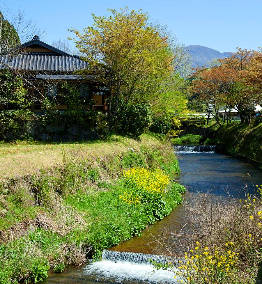 奥阿蘇の宿 やまなみ — 産山村田尻 · 築百年超の古民家を母屋とし、源泉百%の七湯を持つ高原の宿