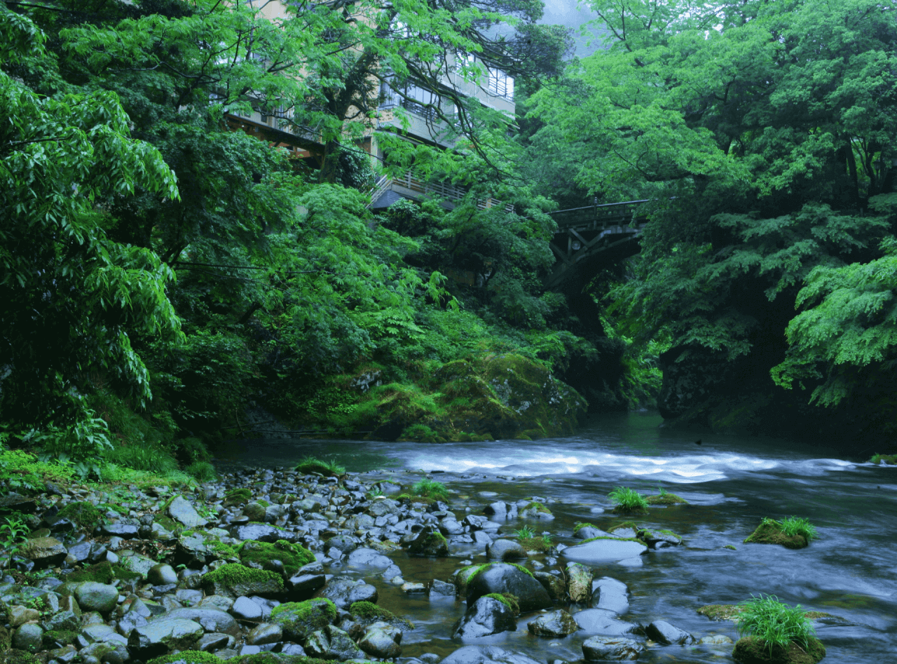 みやこわすれの宿 こおろぎ楼 — 加賀・山中温泉 鶴仙渓 · 全7室客室露天の渓谷の小宿