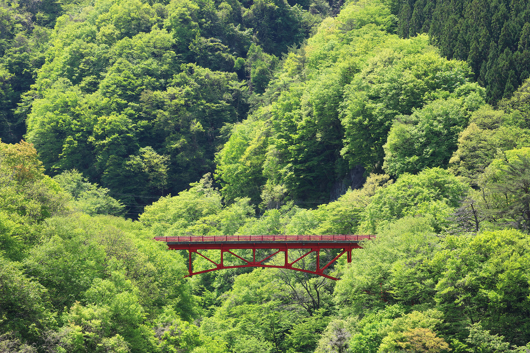 緑霞山宿 藤井荘 — 長野・高山村山田温泉 · 松川渓谷を望む文人宿、寛政10年開湯