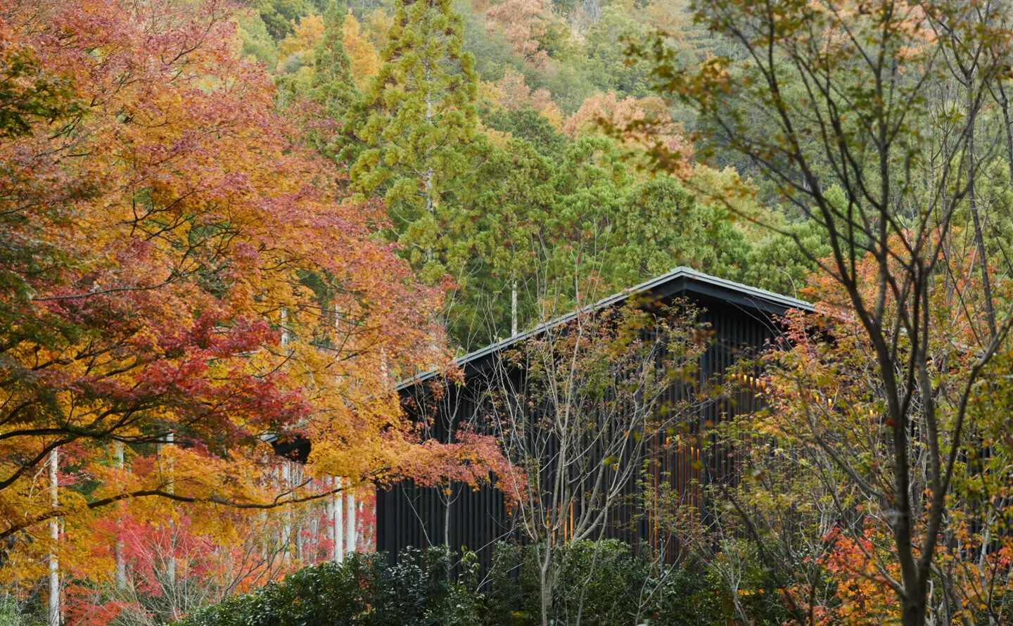 アマン京都 — 苔と石組みが残る森の庭。建物は地形に従って配置される
