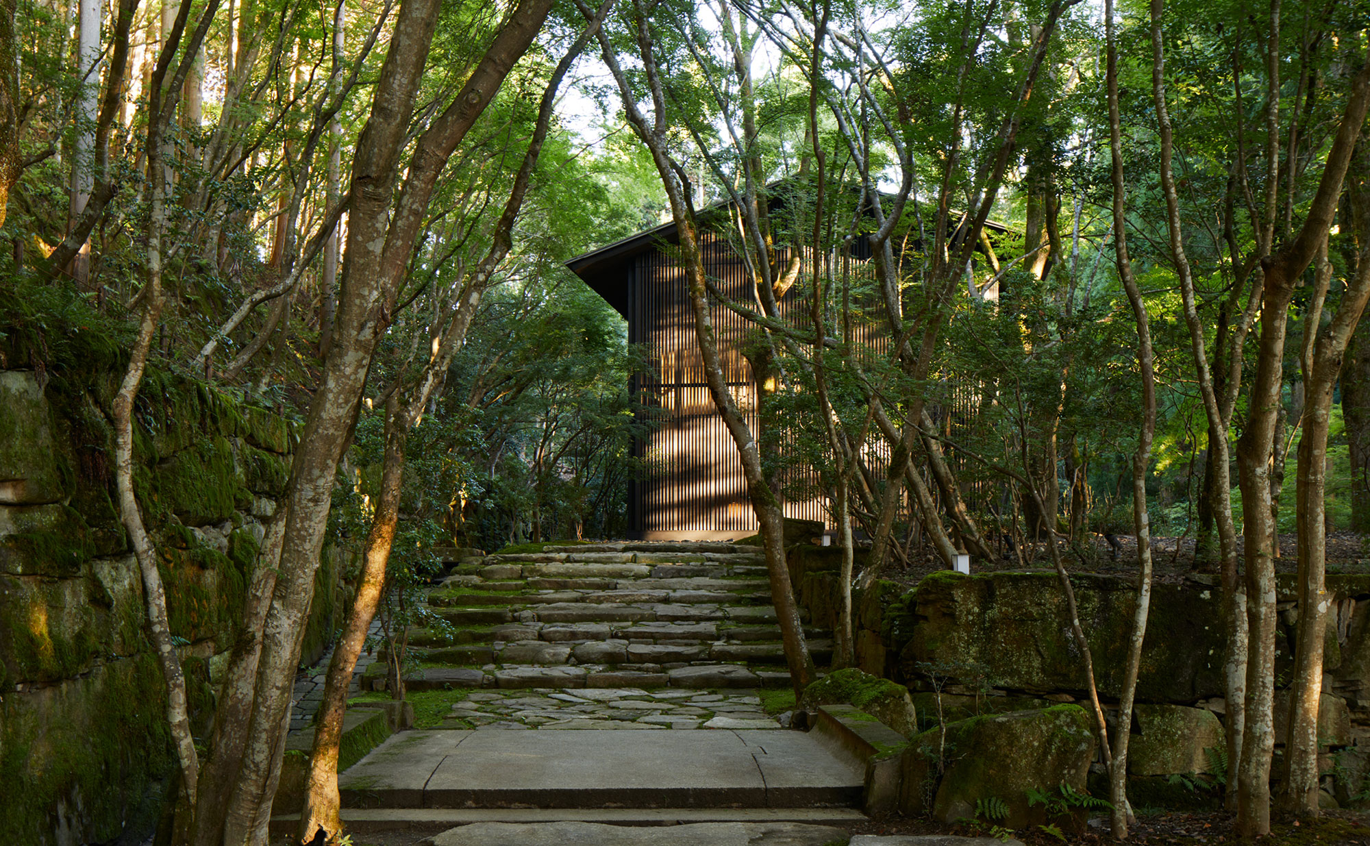 アマン京都 — 京都市北区大北山・鷹峯 · 森の斜面に建物を散在させたケリー・ヒル設計のリゾート外観