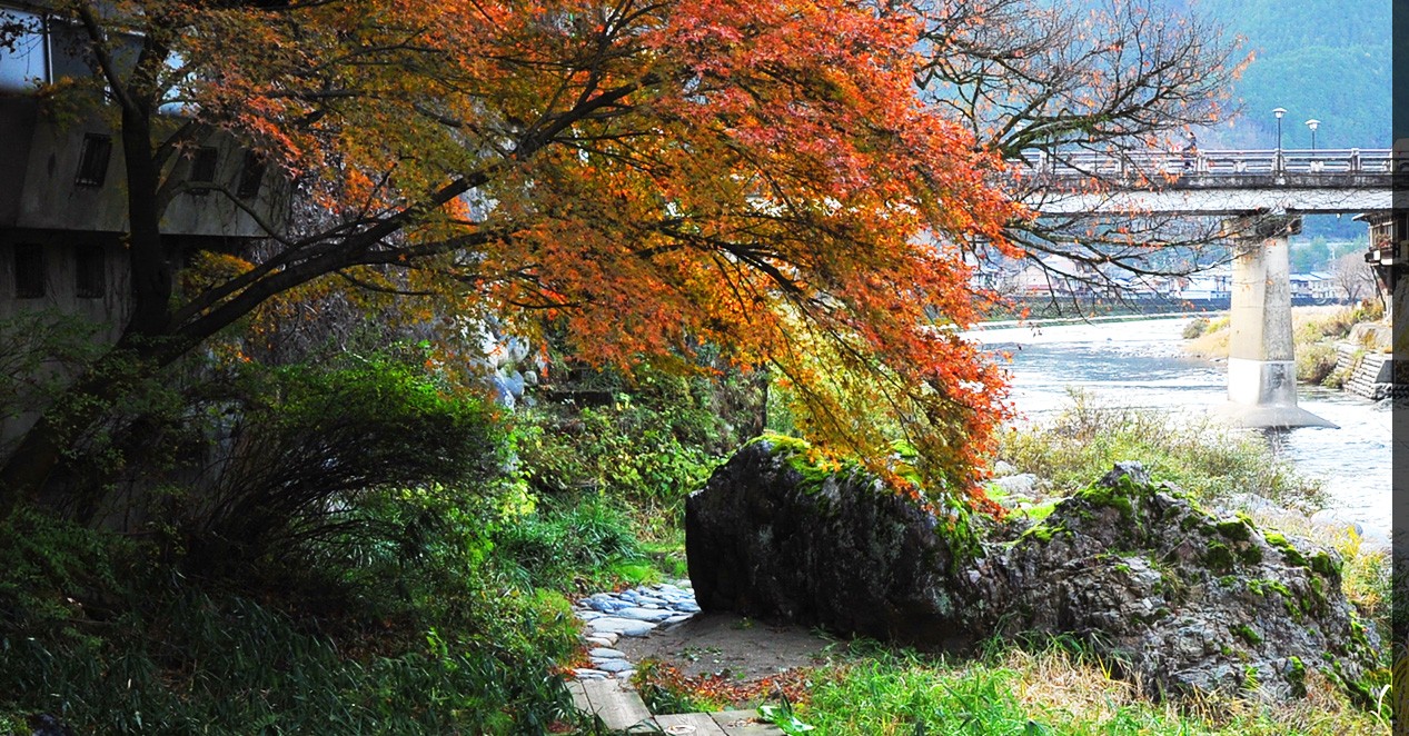 郡上八幡 吉田屋 — 岐阜・郡上市 · 清流吉田川と町の橋を望む川辺の景