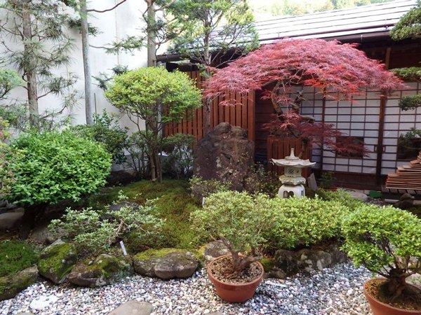 萬蔵の宿 むらちや — 木曽町福島八沢 · 杉苔と灯籠、紅葉を配した中庭