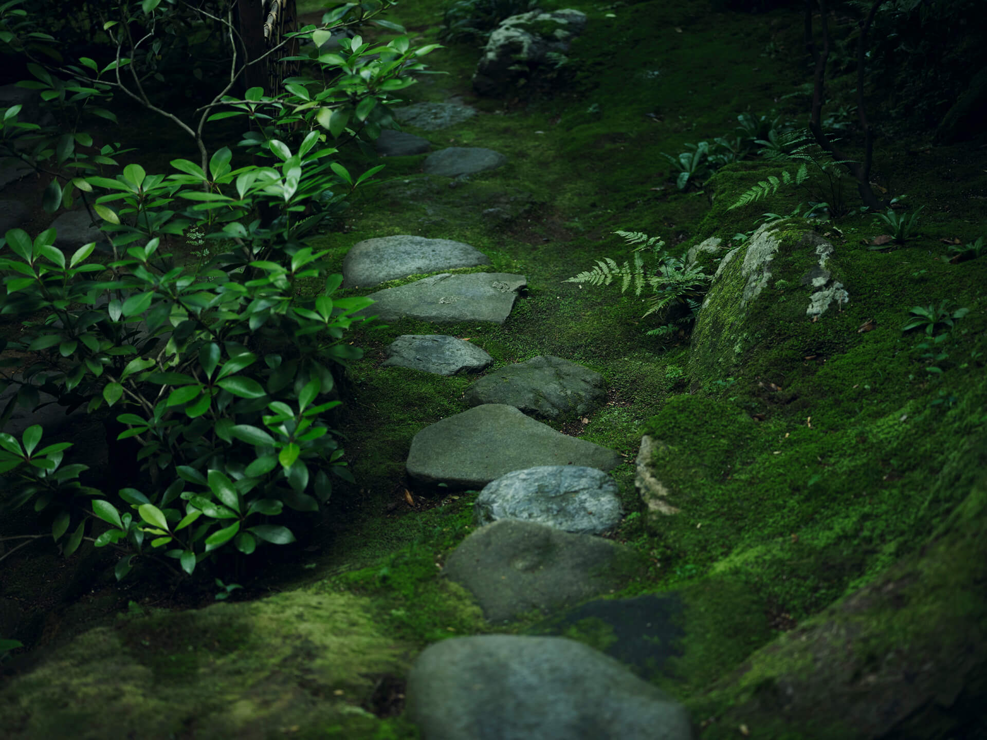 べにや無何有 — 石川・山代温泉 · 建築家 竹山聖による数寄屋、山庭に面した客室