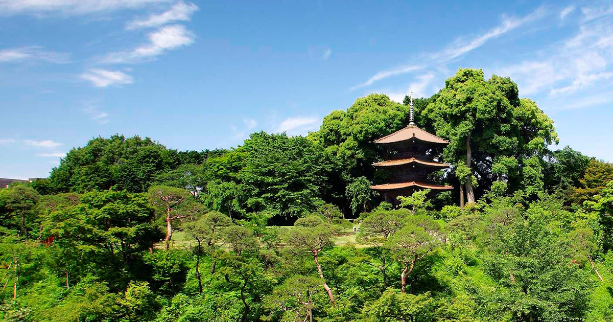 ホテル椿山荘東京 — 目白・関口台地 · 山県有朋別邸の庭園を継ぐシティリゾート