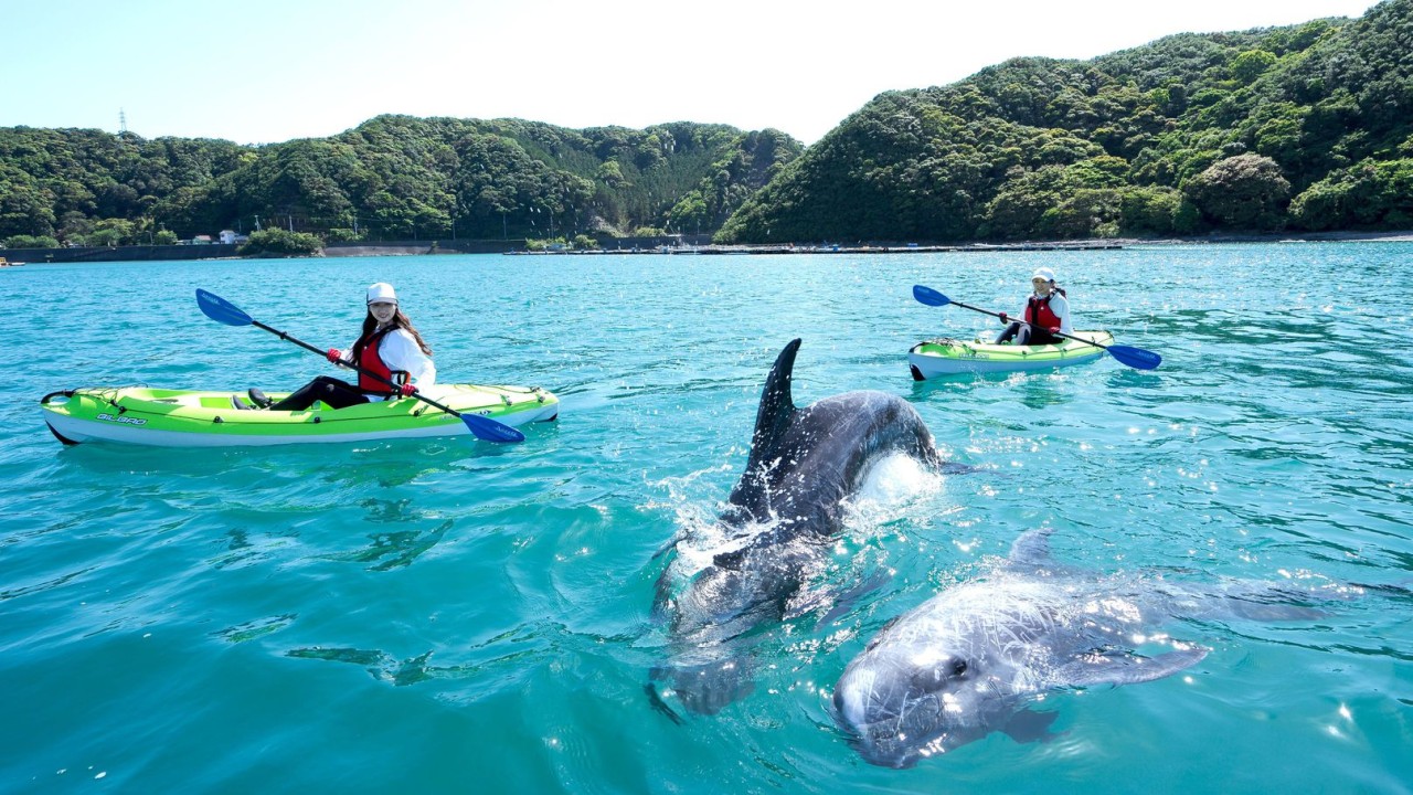 碧き島の宿 熊野別邸 中の島 — 和歌山・那智勝浦 · 勝浦湾に浮かぶ島全体を宿とした温泉宿、海際の露天風呂