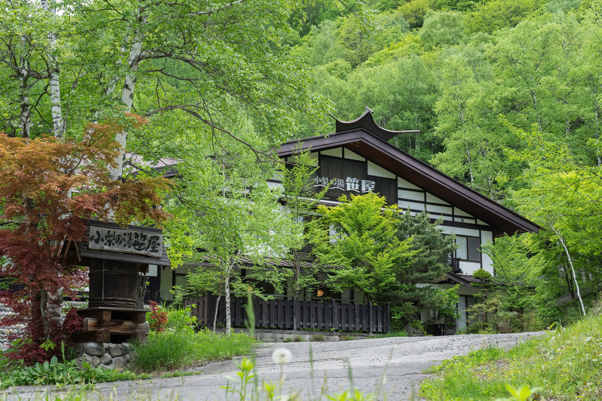 小梨の湯 笹屋 — 松本市安曇・白骨温泉 · 白樺と橅の林に建つ全10室の一軒宿、木造の外観