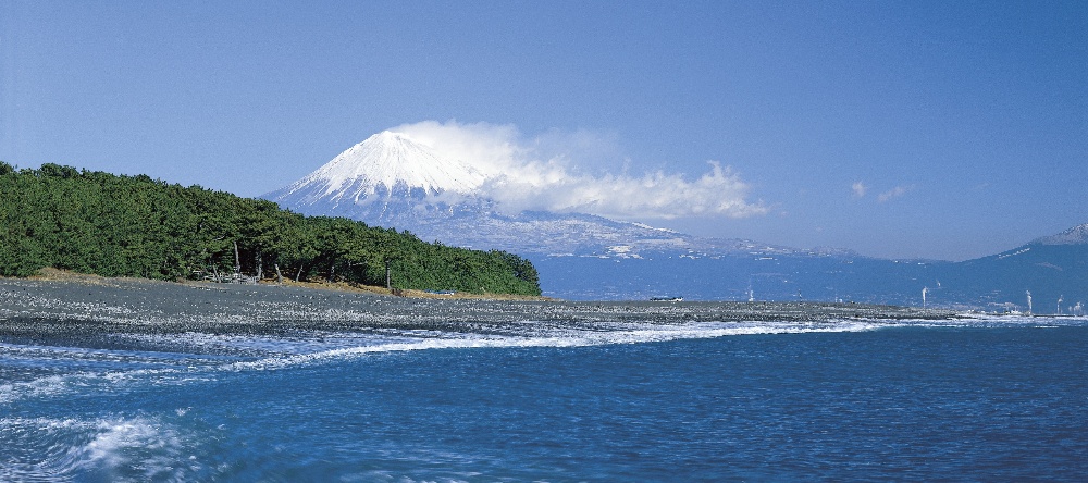 シーグランデ清水ステーションホテル — 静岡市清水区・清水駅西口 · <!-- FACT_EDIT_f-010f ORIGINAL=