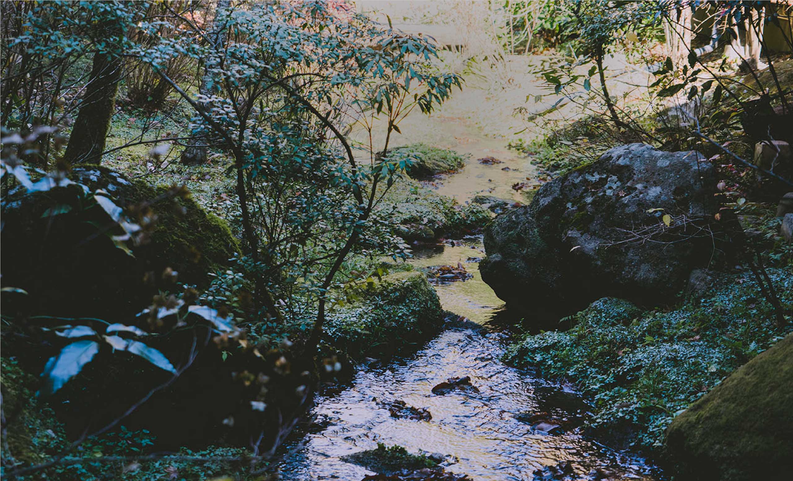 黒川温泉 山みず木 — 熊本・阿蘇 · 筑後川源流沿いの露天風呂を持つ離れ主体の旅館