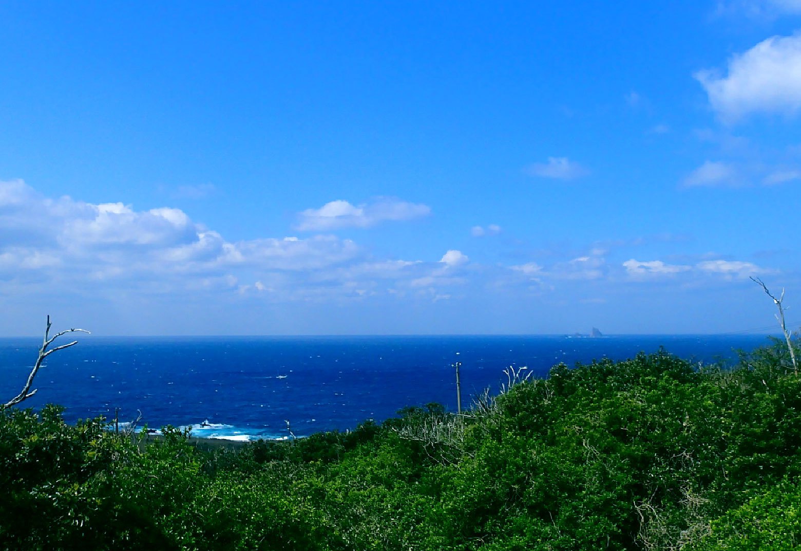 三宅島オーシャンクラブNumber3 — 三宅村阿古 · 島では珍しいログコテージタイプの全5室