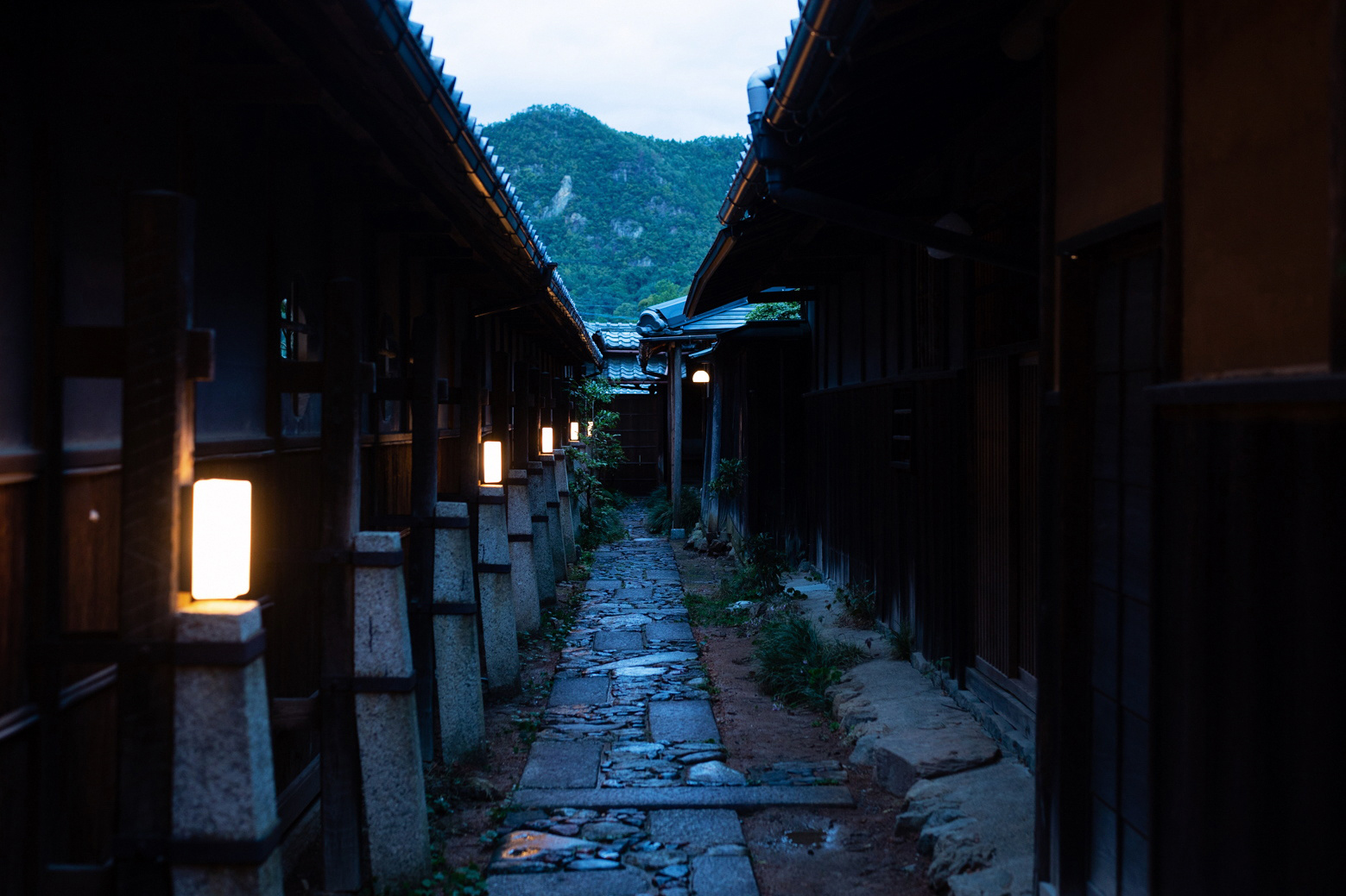 NIPPONIA 美濃 商家町 — 岐阜美濃うだつの町並み · 和紙商家を改装した古民家再生宿の外観