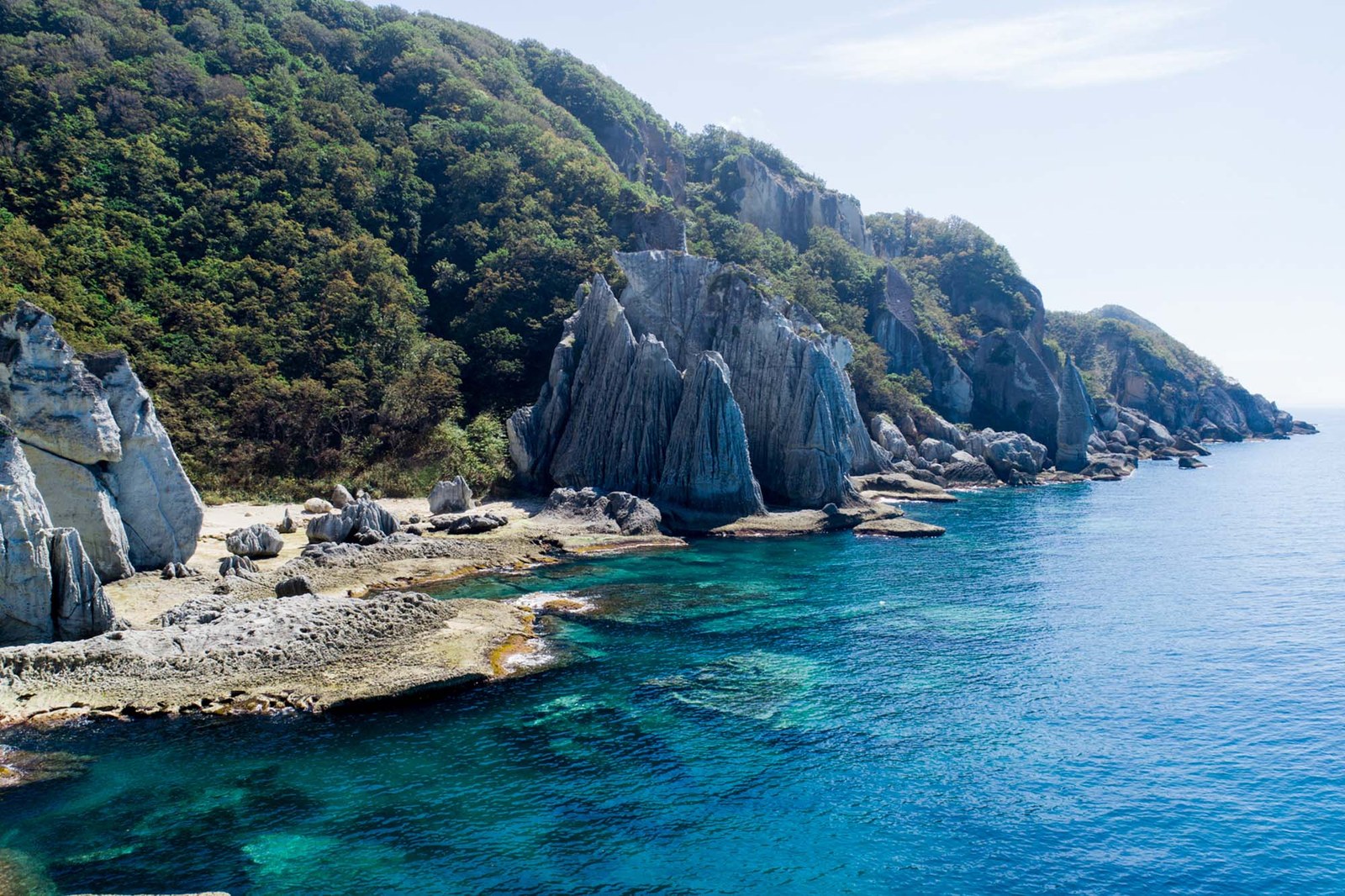 民宿みやの — 佐井村・仏ヶ浦 · 緑色凝灰岩が津軽海峡へ切り立つ海食崖