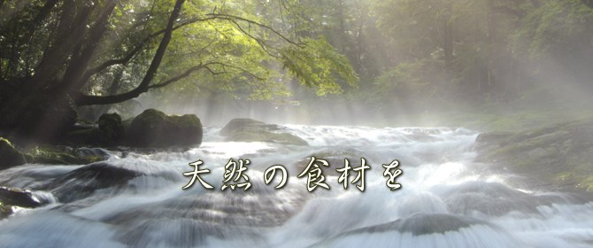 薬研荘 — むつ市奥薬研温泉 · 恐山山塊を刻む薬研渓谷沿いに立つ8室の温泉宿