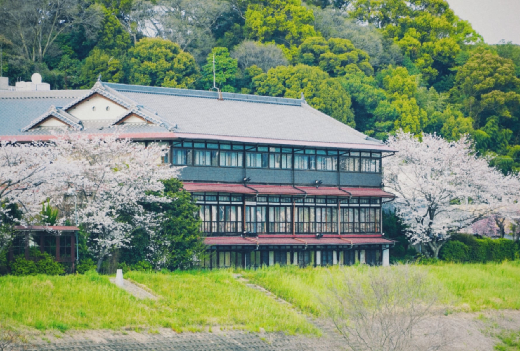 桃山温泉 月見館 — 京都・伏見 · 宇治川沿いに建つ木造三層、登録有形文化財の外観