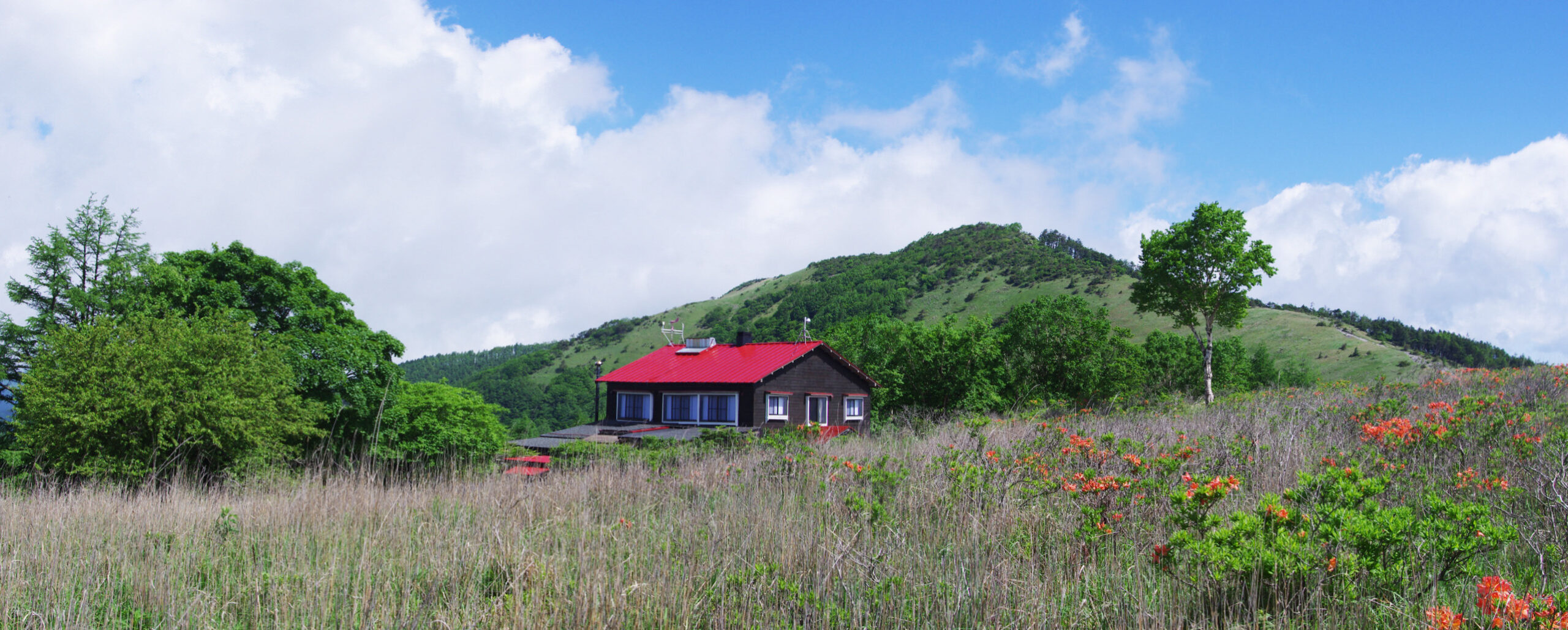 鷲が峰ひゅって — 下諏訪・八島ヶ原湿原 · 標高1659m、湿原の草原に立つ赤い屋根の山小舎とニッコウキスゲ