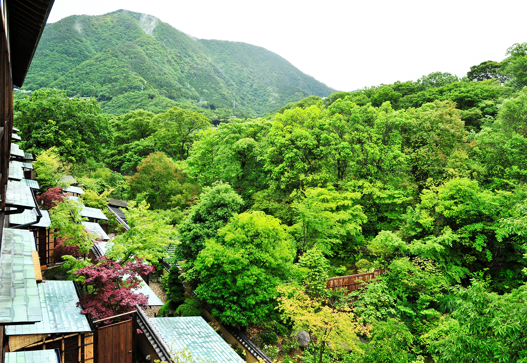 強羅花壇 — 箱根強羅・斜面に段状に下る客室棟の屋根と明星ヶ岳側の山容