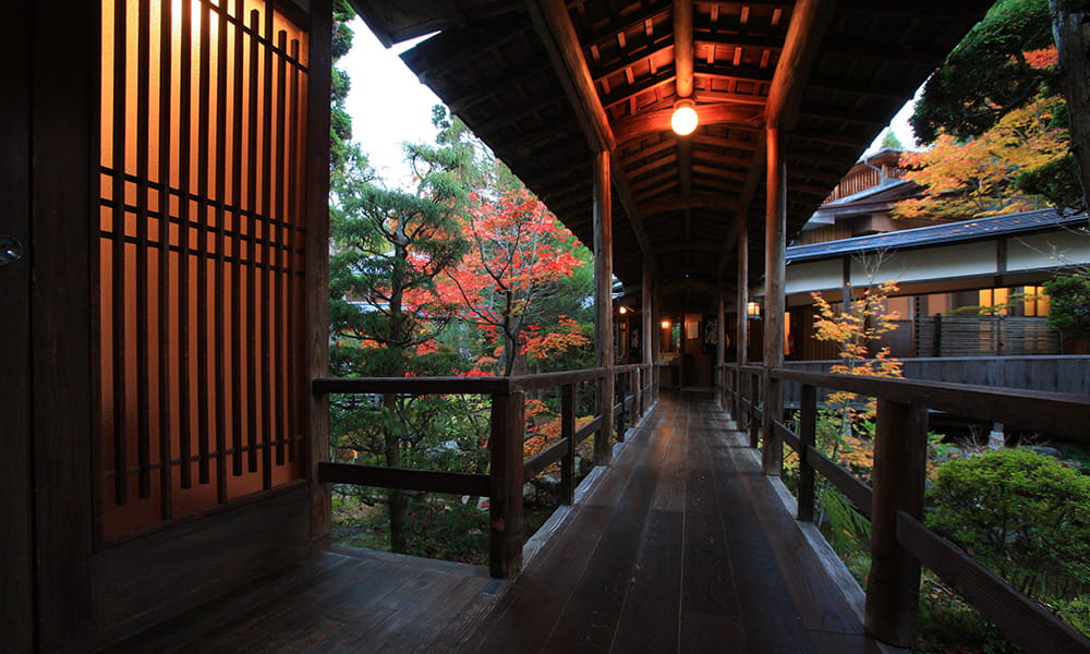 旅館 花屋 — 長野県上田市別所温泉 · 本館から大理石風呂へ続く栂材の渡り廊下と紅葉の中庭