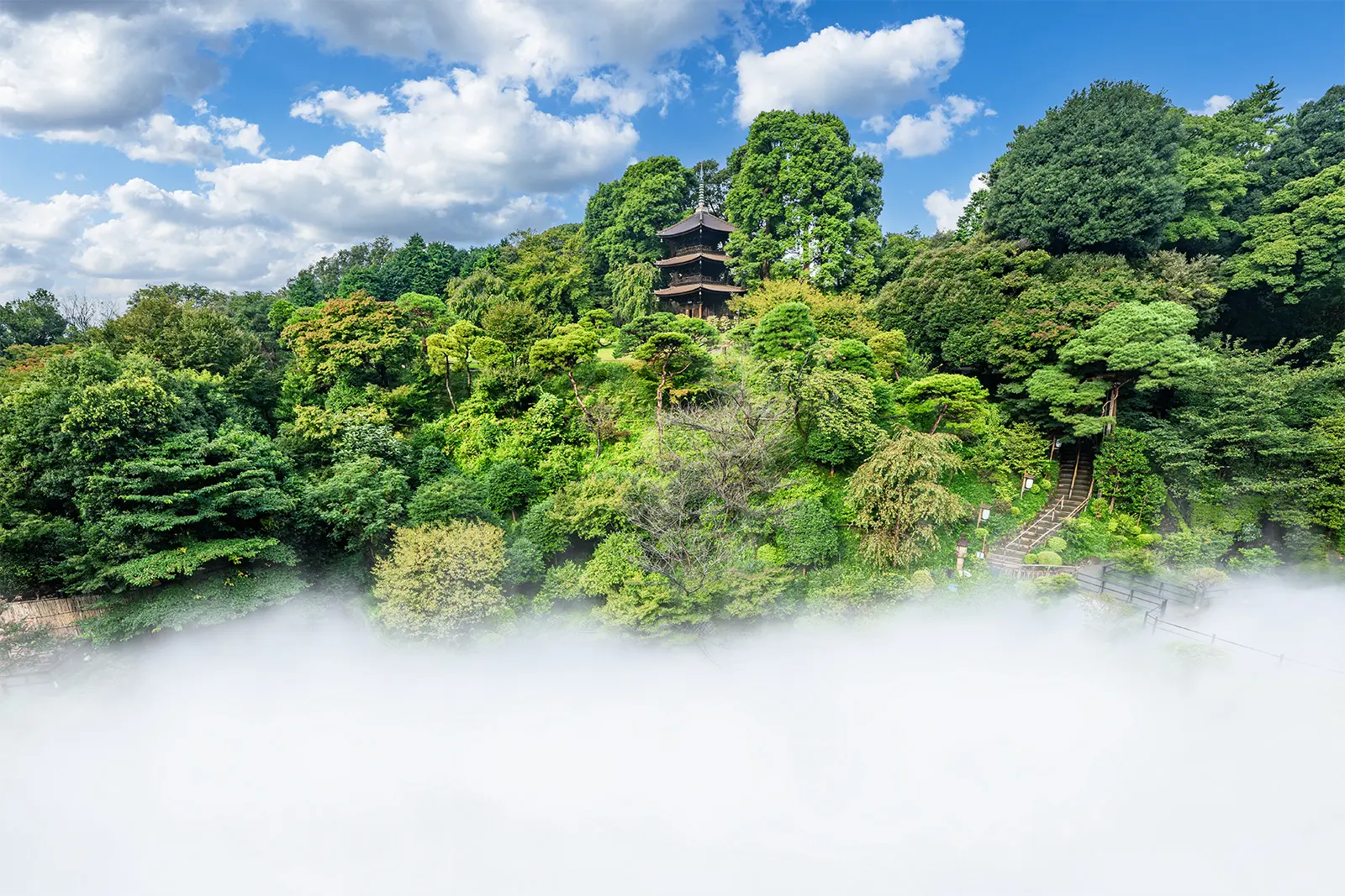ホテル椿山荘東京 — 文京区目白台 · 庭園の三重塔「圓通閣」と東京雲海の霧