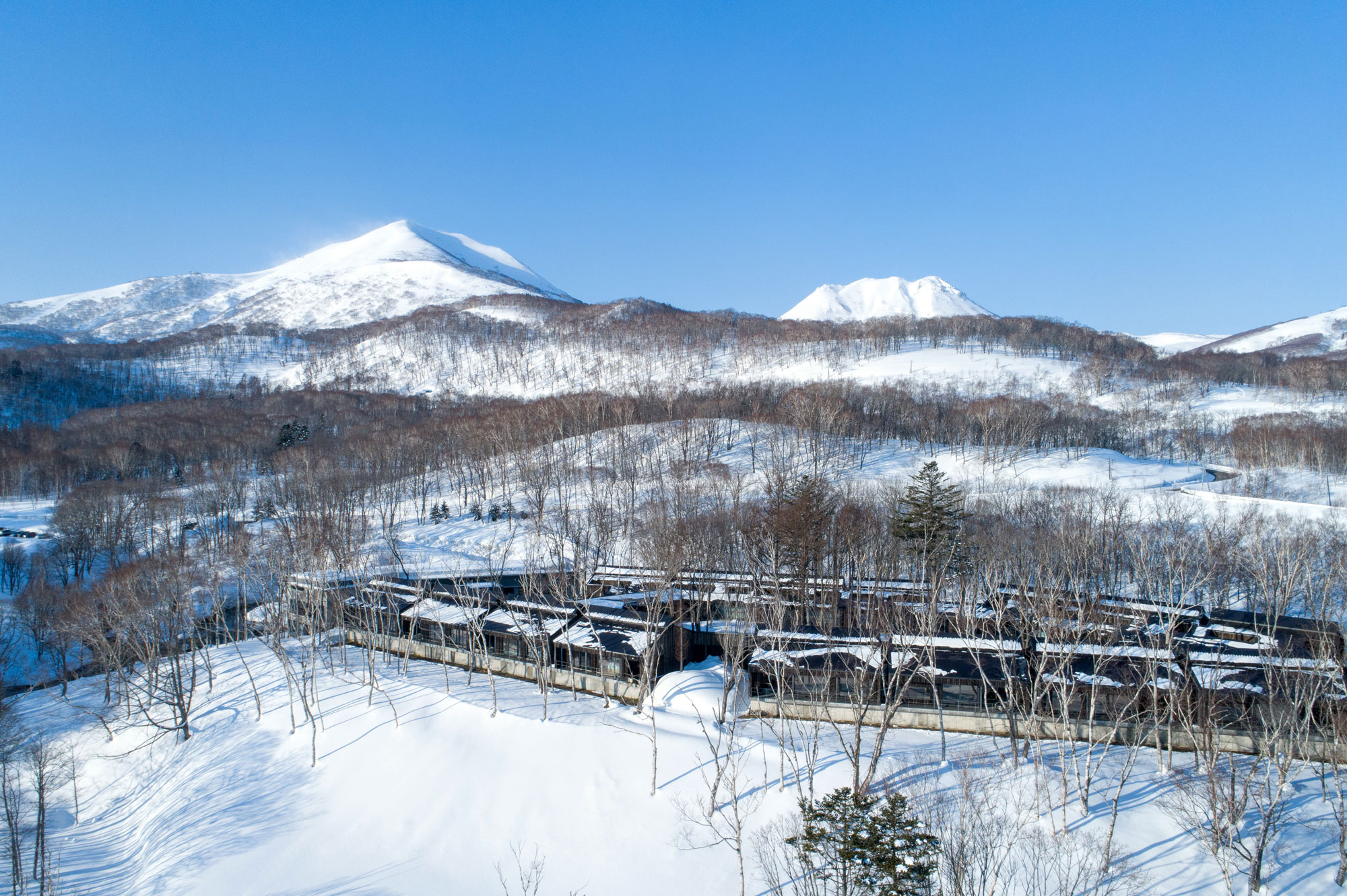 坐忘林 — 倶知安町花園 · 雪の白樺林に低く連なる独立15室の客室棟とニセコの山並み